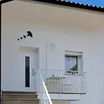 Ninho Andorinhas Monção