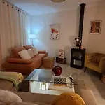 Ninho Andorinhas Monção