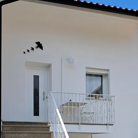 Ninho Andorinhas Monção