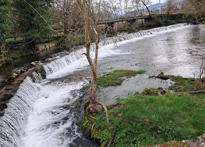 Guest house Ninho Andorinhas