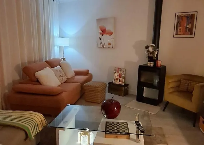 Ninho Andorinhas Moncao